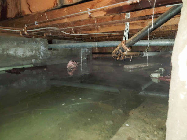 Best Commercial water damage restoration  in Tama, IA