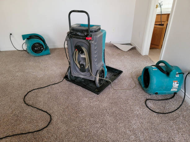 Best Water damage restoration experts  in Tama, IA