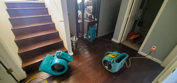 Best Sewage cleanup and water damage restoration  in Tama, IA