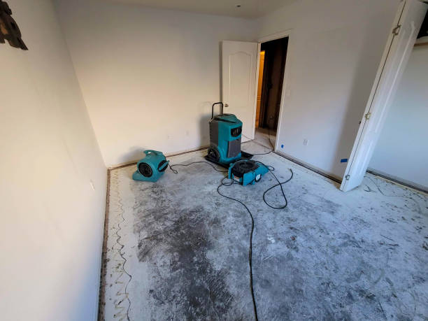 Best Water damage restoration near me  in Tama, IA