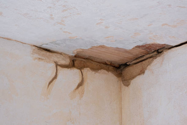 Best Flooded house restoration  in Tama, IA