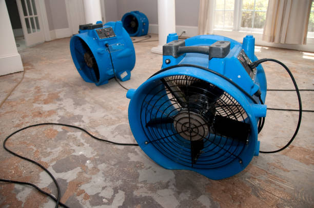 Carpet water damage restoration in IA