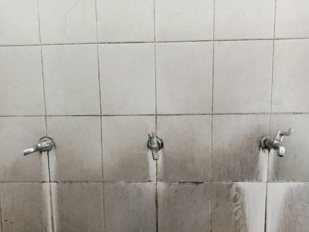 Best Fire Damage Restoration  in Tama, IA