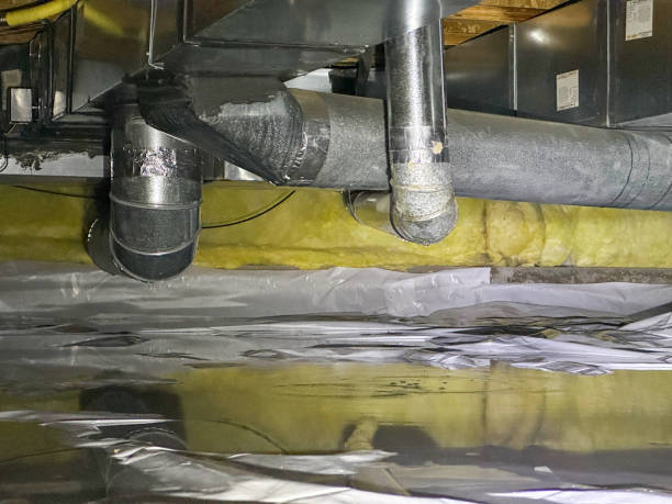Best Professional water damage repair  in Tama, IA