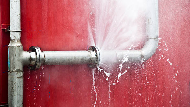 Best Flood damage cleanup  in Tama, IA